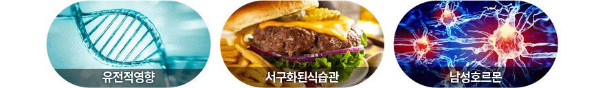 유전적 영향, 서구화된 식습관, 남성호르몬